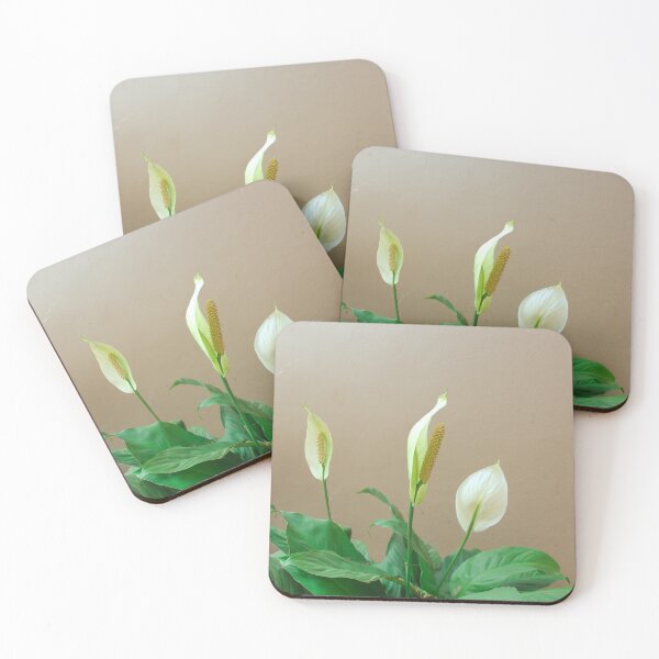 Item preview, cute flowers and beautiful green leaves of Spathiphyllum flower(peace lily designed and sold by MiMee4451.