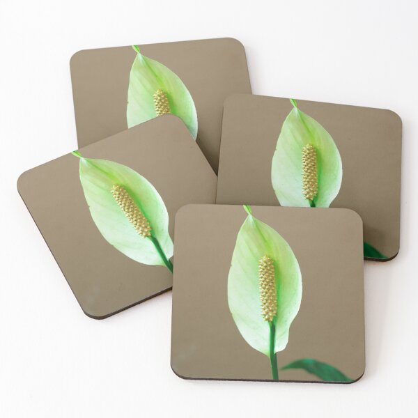 Item preview, yellow & white flowers of Spathiphyllum flower(peace lily), green flowers. designed and sold by MiMee4451.