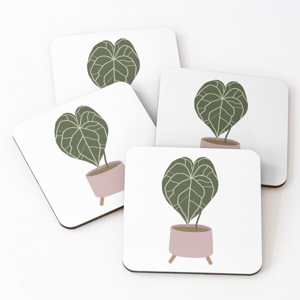 Item preview, Anthurium Clarinervium Plant designed and sold by A Simple  Day..