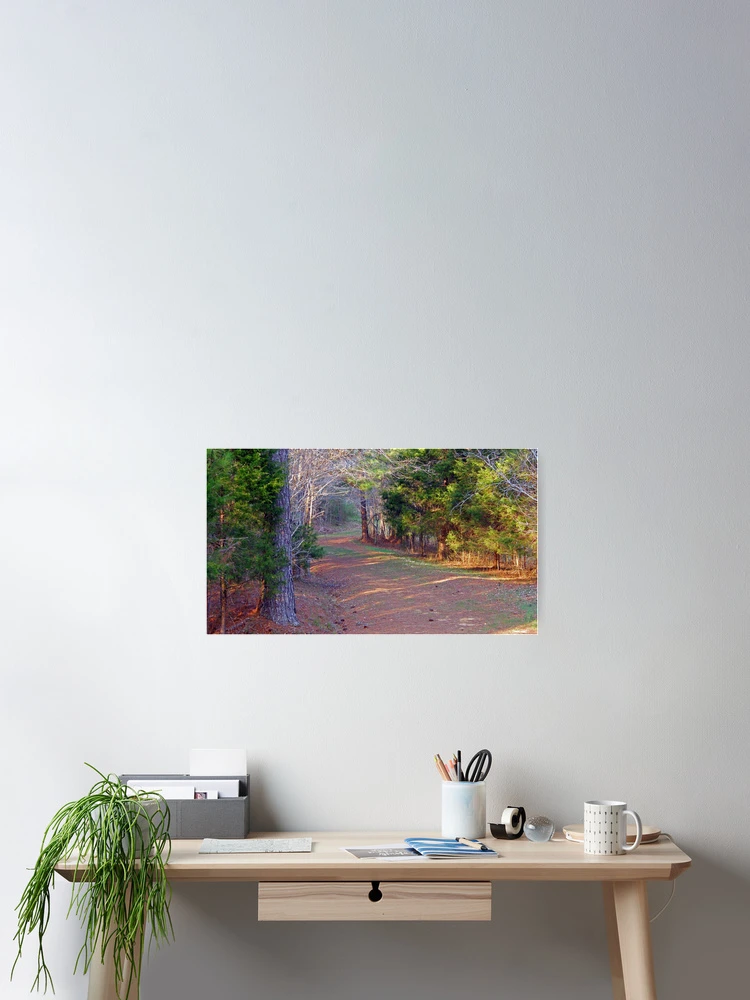 Thumbnail 2 of 3, Poster, Cedars Path designed and sold by Rupprat.