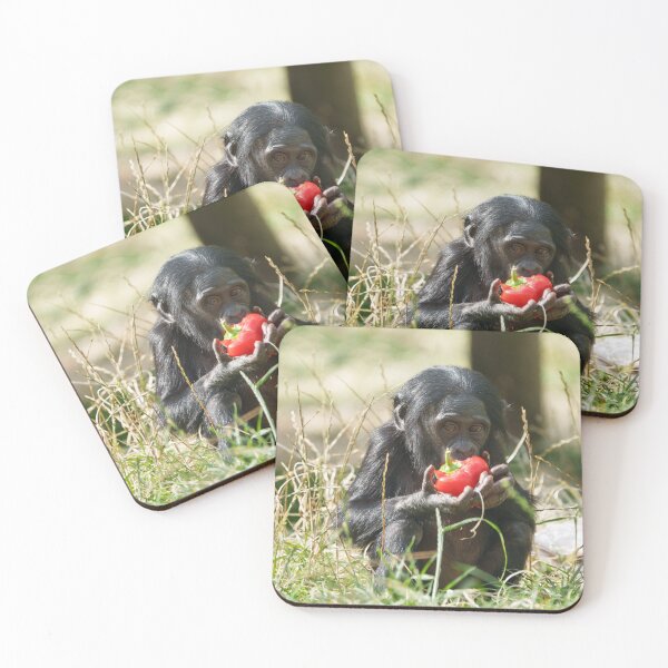 Item preview, Bonobo's Picnic designed and sold by rawshutterbug.