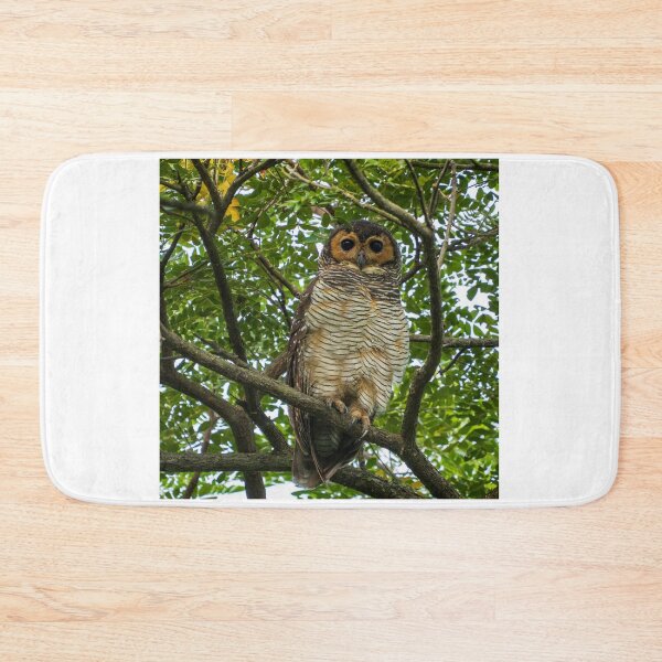 Item preview, Spotted Wood Owl designed and sold by TravellingFatmn.
