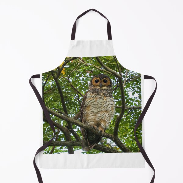Item preview, Spotted Wood Owl designed and sold by TravellingFatmn.