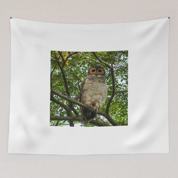 Item preview, Spotted Wood Owl designed and sold by TravellingFatmn.