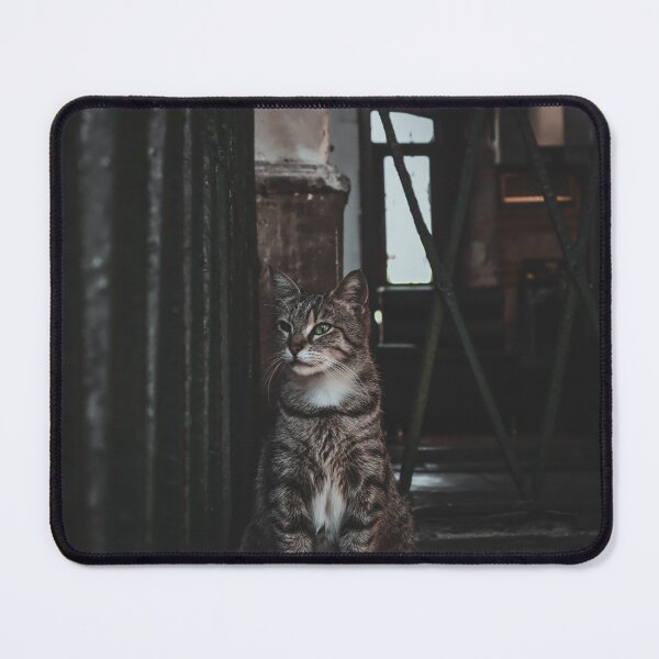 Item preview, Little Cat in Istanbul designed and sold by darklightparis.