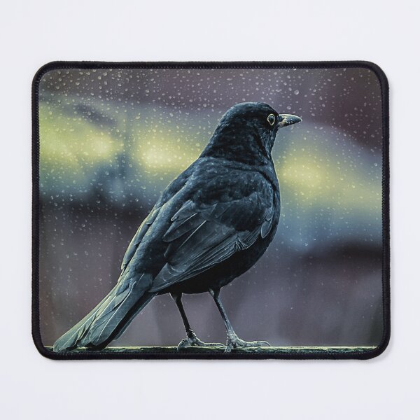 Item preview, Mr Blackbird In The Rain designed and sold by AJEvans.