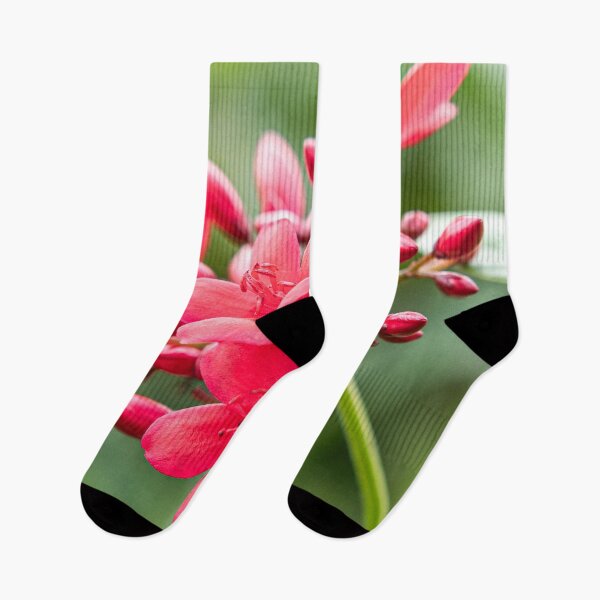 Artikelvorschau, Phu Quoc Flora entworfen und verkauft von Dave Hare Photography.