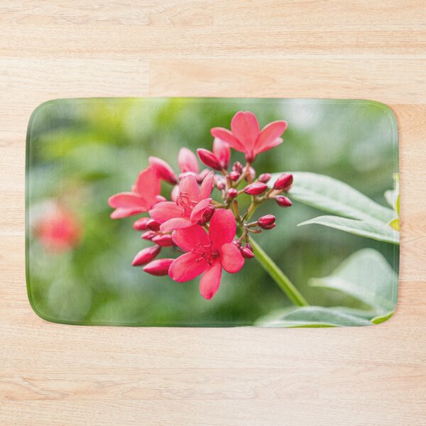 Item preview, Phu Quoc Flora designed and sold by Dave Hare Photography.