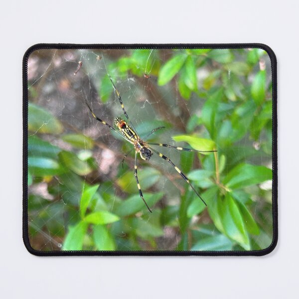 Item preview, spider hanging out in the bushes designed and sold by GingaDesigns.