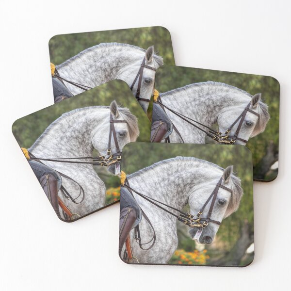 Item preview, Equestrian Beauty designed and sold by Viv Thompson Photography .