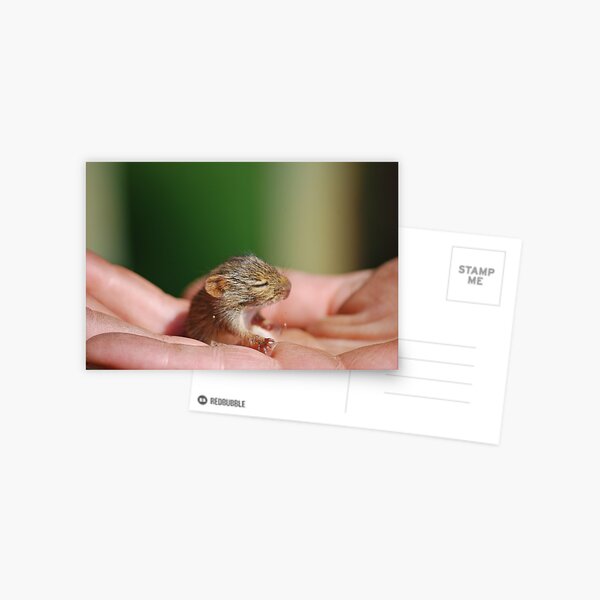 Trust Postcard