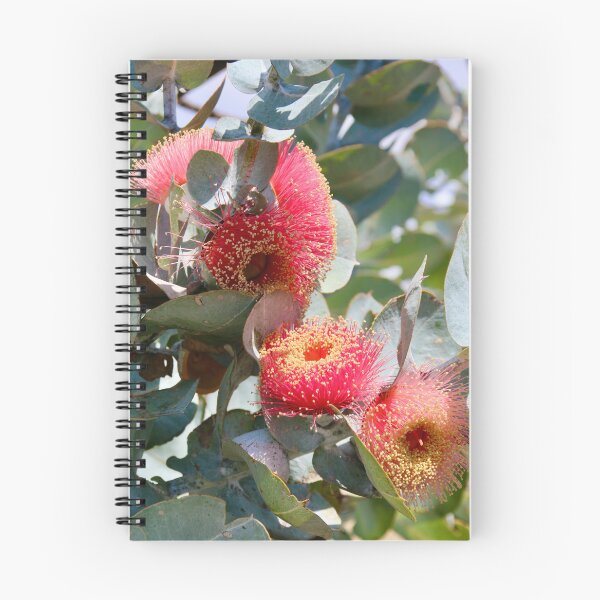 Item preview, Eucalyptus Macrocarpa  designed and sold by TMHCreativeCo.