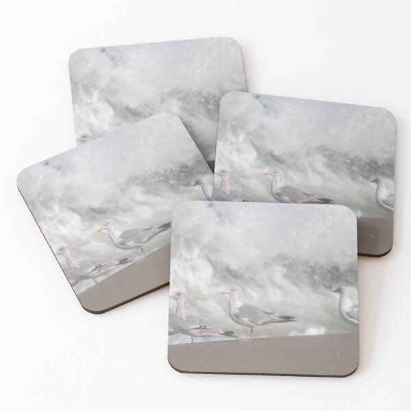 Item preview, European herring gulls designed and sold by Calidris Fotografie Steffi & Ben Köppler.