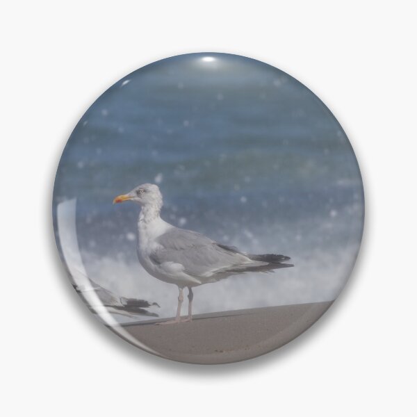 Item preview, European herring gulls designed and sold by Calidris Fotografie Steffi & Ben Köppler.