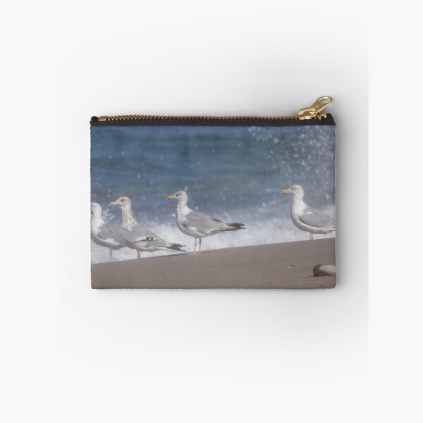 Item preview, European herring gulls designed and sold by Calidris Fotografie Steffi & Ben Köppler.