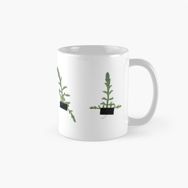 Aperçu de l'œuvre herbier brutal créée et vendue par MishMashRoom.
