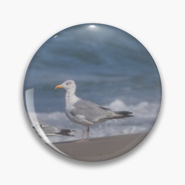 Item preview, European herring gulls designed and sold by Calidris Fotografie Steffi & Ben Köppler.