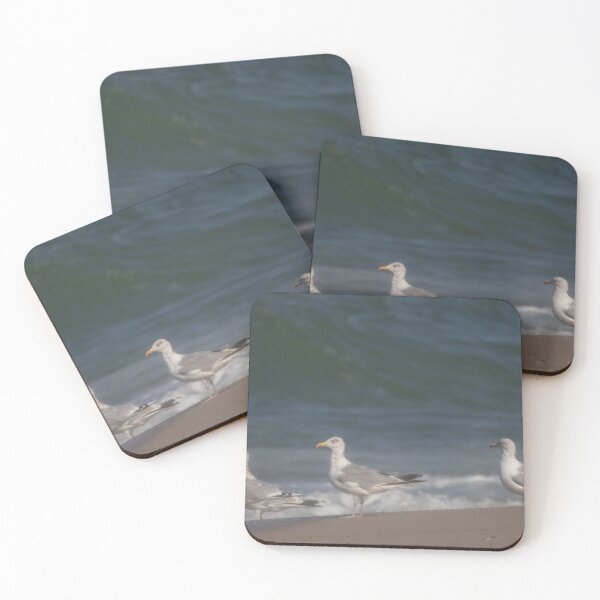 Item preview, European herring gulls designed and sold by Calidris Fotografie Steffi & Ben Köppler.