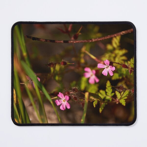 Item preview, "little beauties" designed and sold by Andreas Koerner.