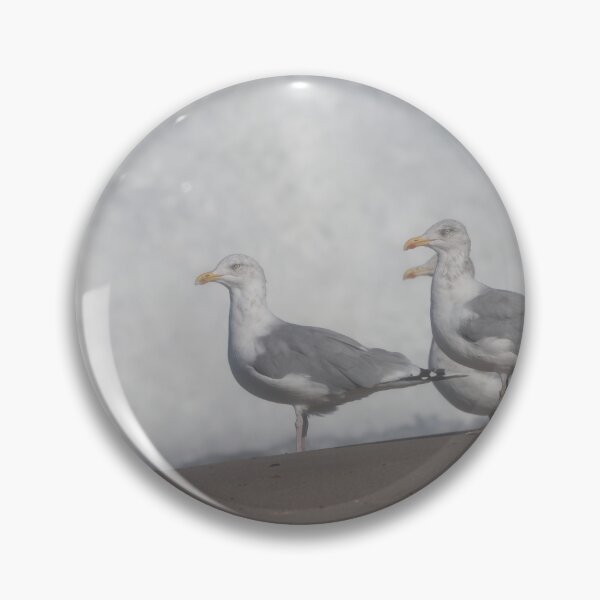 Item preview, European herring gulls designed and sold by Calidris Fotografie Steffi & Ben Köppler.