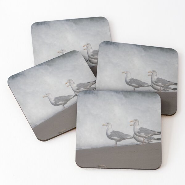 Item preview, European herring gulls designed and sold by Calidris Fotografie Steffi & Ben Köppler.