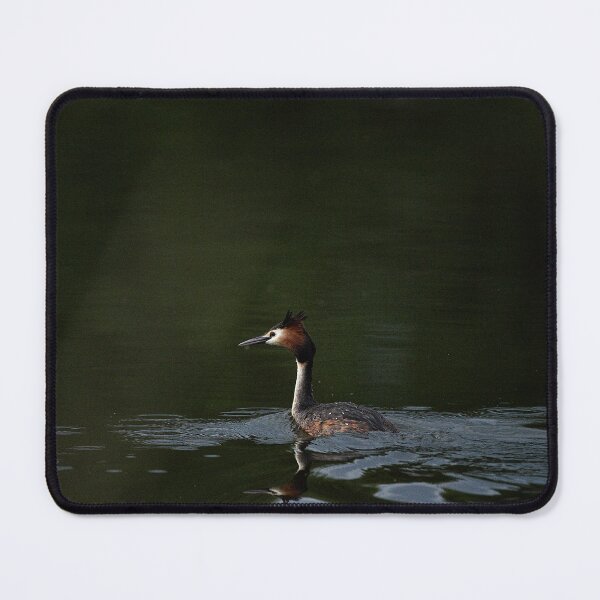 Item preview, "Great Crested Grebe" designed and sold by Andreas Koerner.