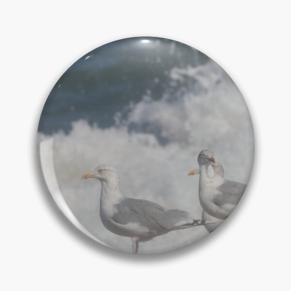 Item preview, European herring gulls designed and sold by Calidris Fotografie Steffi & Ben Köppler.