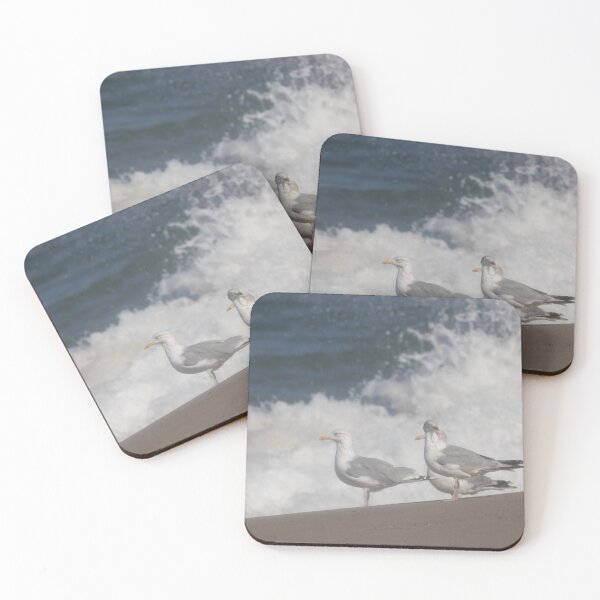 Item preview, European herring gulls designed and sold by Calidris Fotografie Steffi & Ben Köppler.