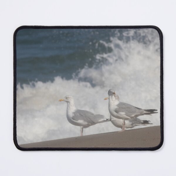 Item preview, European herring gulls designed and sold by Calidris Fotografie Steffi & Ben Köppler.