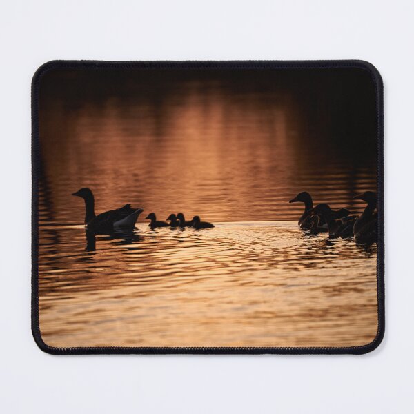 Item preview, "evening greylag goose excursion" designed and sold by Andreas Koerner.