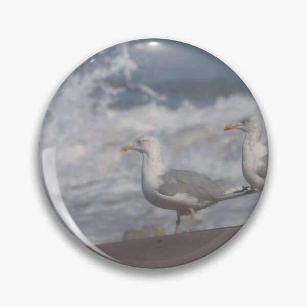 Item preview, European herring gulls designed and sold by Calidris Fotografie Steffi & Ben Köppler.