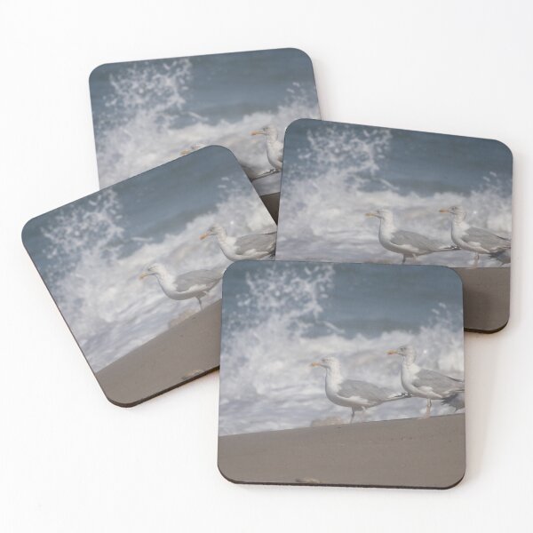 Item preview, European herring gulls designed and sold by Calidris Fotografie Steffi & Ben Köppler.