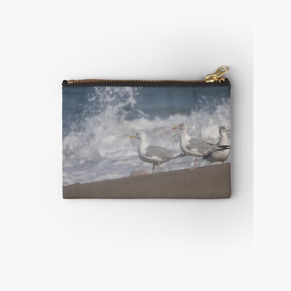 Item preview, European herring gulls designed and sold by Calidris Fotografie Steffi & Ben Köppler.