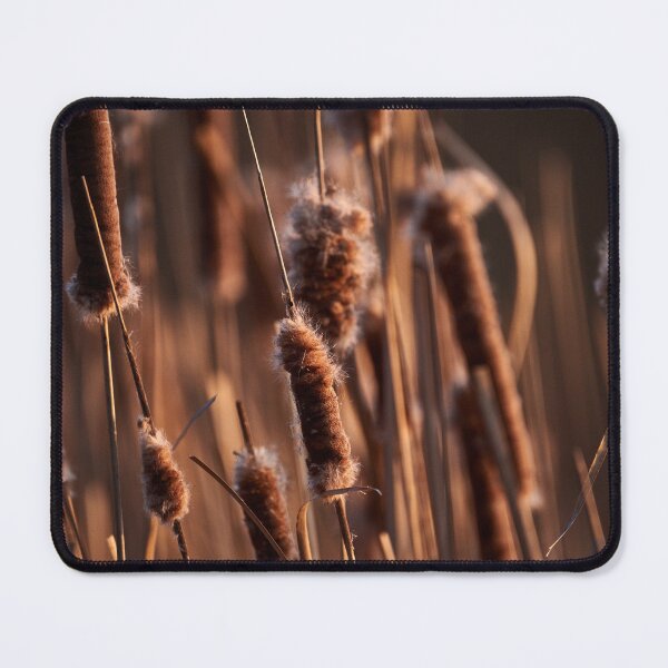 Item preview, "in the cradle of the evening sun" designed and sold by Andreas Koerner.