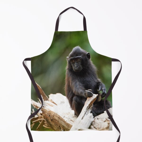 Item preview, "The Celebes crested macaque of Tangkoko National Park" 11 of 11 designed and sold by Andreas Koerner.