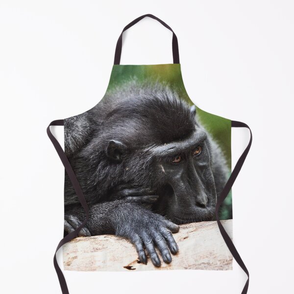 Item preview, "The Celebes crested macaque of Tangkoko National Park" 9 of 11 designed and sold by Andreas Koerner.