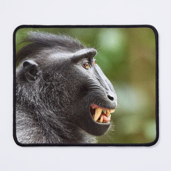 Item preview, "The Celebes crested macaque of Tangkoko National Park" 8 of 11 designed and sold by Andreas Koerner.
