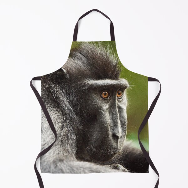 Item preview, "The Celebes crested macaque of Tangkoko National Park" 7 of 11 designed and sold by Andreas Koerner.
