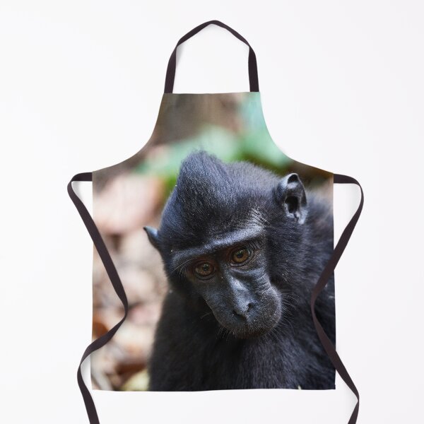 Item preview, "The Celebes crested macaque of Tangkoko National Park" 1 of 11 designed and sold by Andreas Koerner.