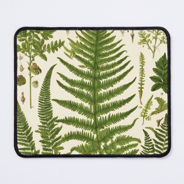Item preview, Botanical (fern b) designed and sold by BoxcarDesigns.