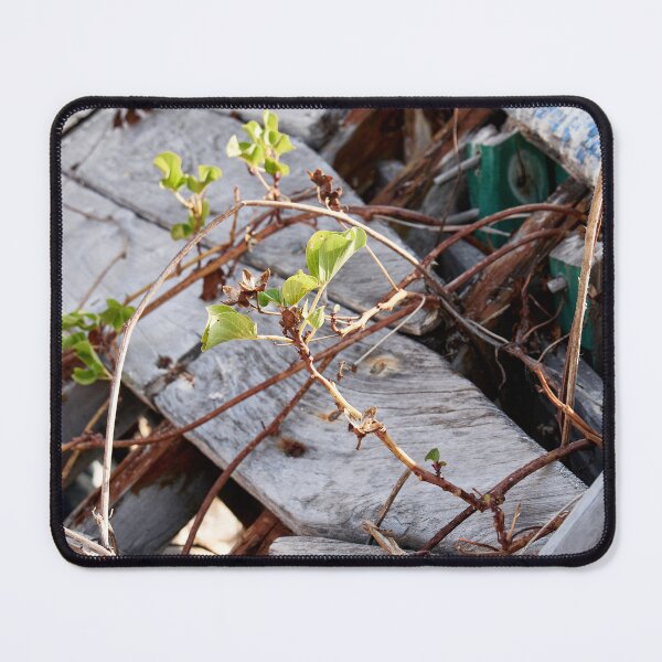 Item preview, "Broken" designed and sold by Andreas Koerner.
