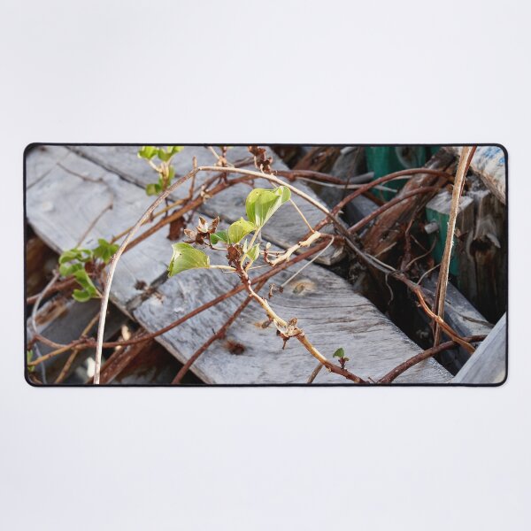 Item preview, "Broken" designed and sold by Andreas Koerner.