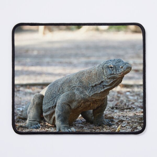 Item preview, "Impressions from Komodo Island" 4 of 7 designed and sold by Andreas Koerner.