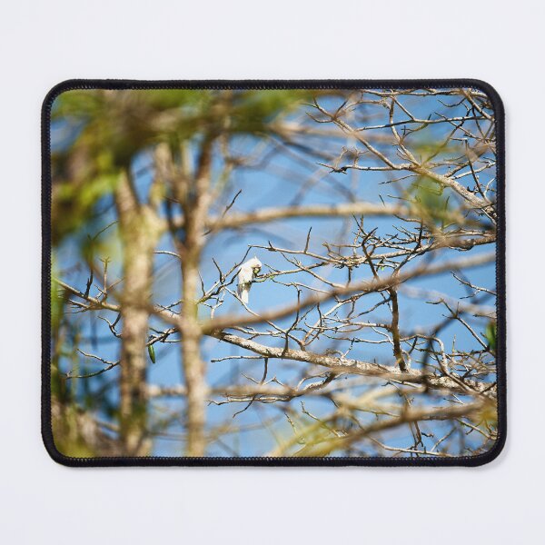 Item preview, "Impressions from Komodo Island" 2 of 7 designed and sold by Andreas Koerner.