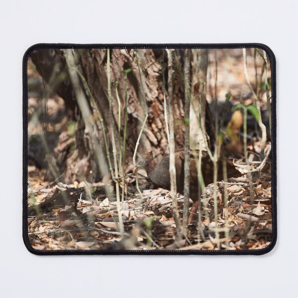 Item preview, "Wild impressions from Rinca Island" 4 of 5 designed and sold by Andreas Koerner.