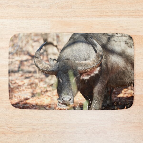 Item preview, "Wild impressions from Rinca Island" 3 of 5 designed and sold by Andreas Koerner.