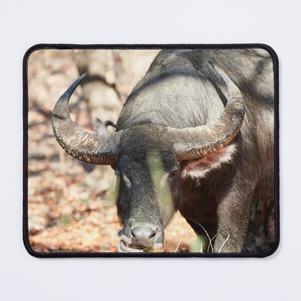 Item preview, "Wild impressions from Rinca Island" 3 of 5 designed and sold by Andreas Koerner.