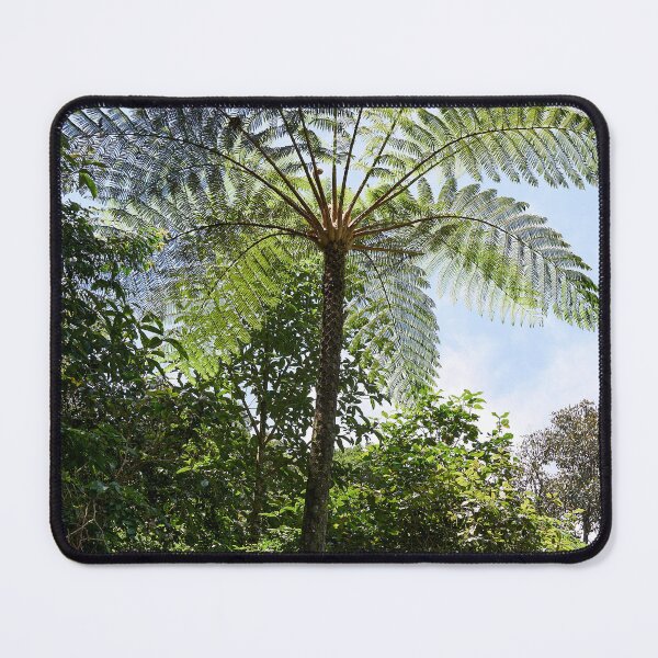 Item preview, "Tree ferns of Java" 1 of 3 designed and sold by Andreas Koerner.