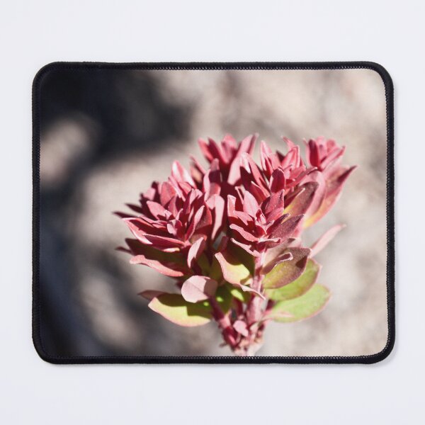 Item preview, "Impressions from volcano Ijen" 6 of 7 designed and sold by Andreas Koerner.