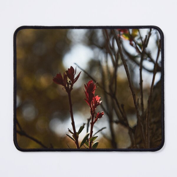 Item preview, "Bromo-Tengger-Semeru National Park" 5 of 6 designed and sold by Andreas Koerner.